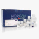 RNA/DNA/Protein Purification Plus Kits, 50 Preps