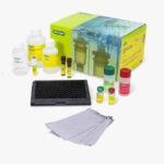 Bio-Plex Pro Human Cytokine 27-plex Assay