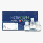Genomic DNA Isolation Kit, 250 Preps