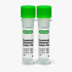 SsoAdvanced Universal SYBR® Green Supermix, 200 x 20 µl rxns, 2 ml (2 x 1 ml)