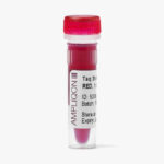 Taq DNA Polymerase 2x Master Mix RED, 500 Reactions