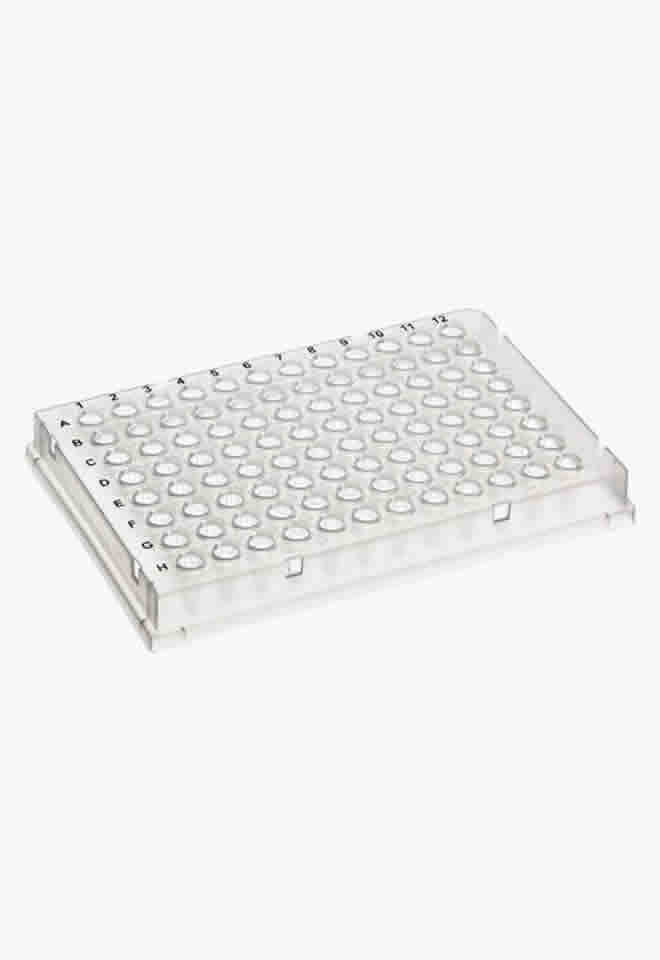 0.1ml PCR Plate, Bio-Rad®-Type, Low-Profile, PK10 0.1ml PCR Plate, Bio-Rad®-Type, Low-Profile, PK10