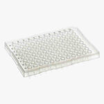 0.2ml PCR Plate, ABI®-Type, Raised Rim, PK50