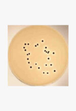 Baird-Parker Agar, 500g