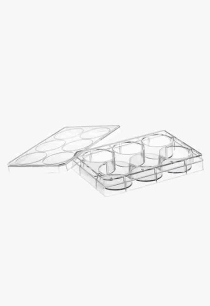 CELLLSTAR® 6 Well Cell Culture Multiwell Plates with Lids
