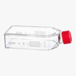 CELLSTAR® Cell Culture Flasks with Filter Screw Cap, 250ml, 75cm²
