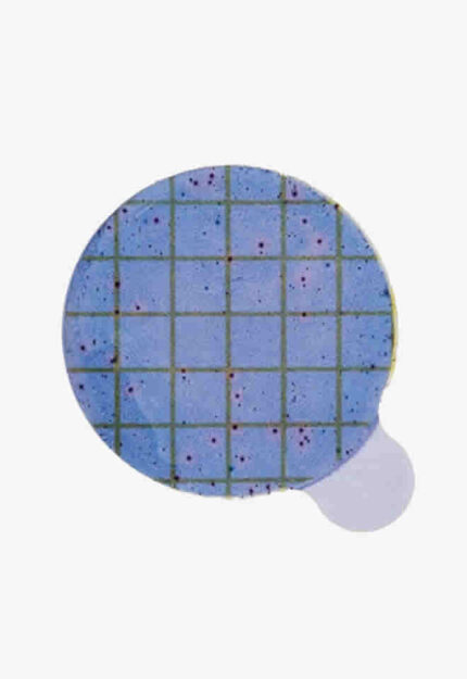 Petrifilm® Staph Express Disks, PK20